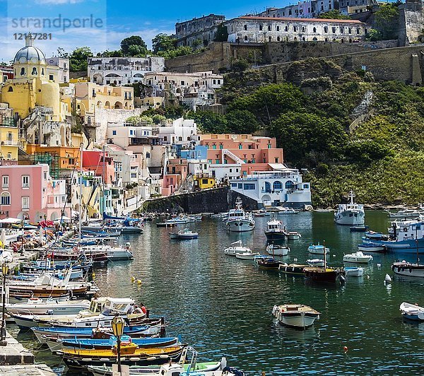 Bunte Häuser  auf dem Berg das ehemalige Gefängnis  Procida  Insel Procida  Kampanien  Süditalien  Italien  Europa