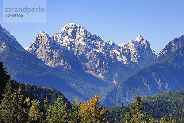 Gehrenspitze mit Erstschnee  Tannheimer Berge  Schwangau  Königswinkel  Ostallgäu  Allgäu  Schwaben  Bayern  Deutschland  Europa