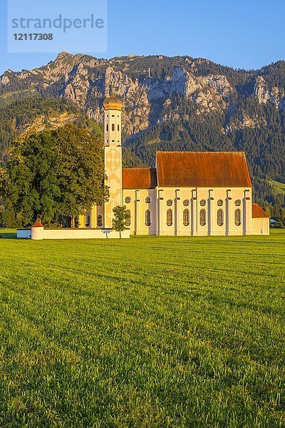 Barockkirche St. Coloman  im hinteren Tegelberg  Schwangau  Ostallgäu  Allgäu  Schwaben  Bayern  Deutschland  Europa