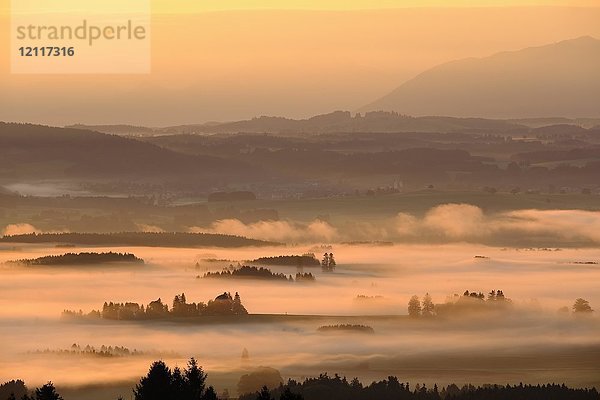 Sonnenaufgang  Nebel über dem Lechtal  Blick vom Auerberg bei Bernbeuren  Pfaffenwinkel  Allgäu  Oberbayern  Bayern  Deutschland  Europa