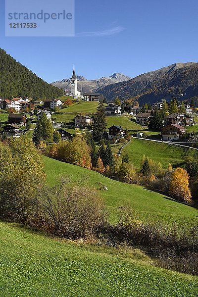 Bergdorf Schmitten  Albula  Kanton Graubünden  Schweiz  Europa