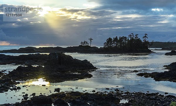 Wild Pacific Trail  Ucluelet  Vancouver Island  Britisch-Kolumbien  Kanada