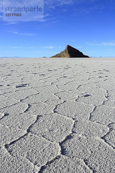 Wabenstruktur auf dem Salzsee  felsige Insel am Horizont  Salar de Uyuni  Uyuni  Potosi  Bolivien  Südamerika