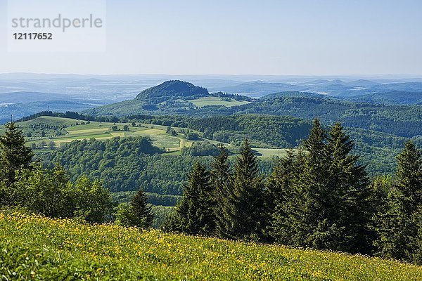 Blick von der Wasserkuppe auf den Berg Milseburg  Naturpark Hessische Rhön  Hessen  Deutschland  Europa
