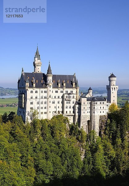 Schloss Neuschwanstein  im Hintergrund Forggensee  Schwangau  Königswinkel  Ostallgäu  Allgäu  Schwaben  Bayern  Deutschland  Europa