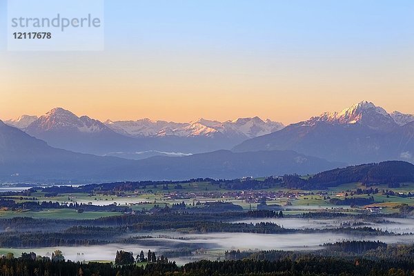 Frühnebel im Tal bei Sonnenaufgang  Blick vom Auerberg bei Bernbeuren  Dorf Roßhaupten  Lechtaler Alpen und Gehrenspitze  Allgäu  Bayern  Deutschland  Europa