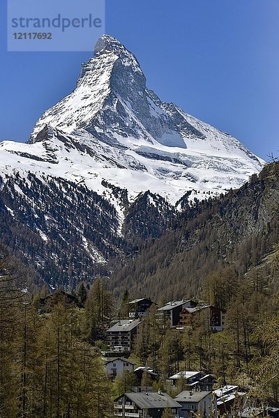 Matterhorn und Wohngebäude in Zermatt  Schweiz  Europa