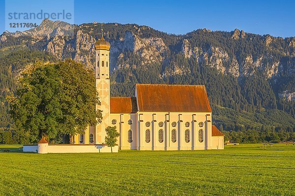 Barockkirche St. Coloman  im hinteren Tegelberg  Schwangau  Ostallgäu  Allgäu  Schwaben  Bayern  Deutschland  Europa