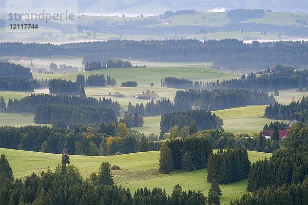 Morgennebel  hügelige Landschaft  Blick vom Auerberg  Bernbeuren  Pfaffenwinkel  Allgäu  Oberbayern  Bayern  Deutschland  Europa