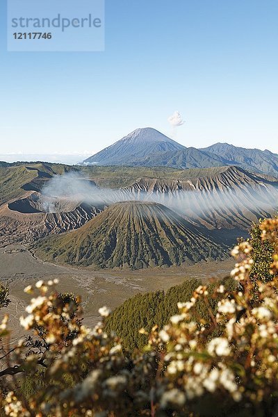 Vulkane Bromo  Batok und Semeru  Bromo-Tengger-Semeru-Nationalpark  Java