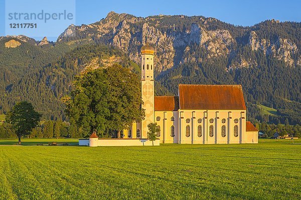 Barockkirche St. Coloman  im hinteren Tegelberg  Schwangau  Ostallgäu  Allgäu  Schwaben  Bayern  Deutschland  Europa