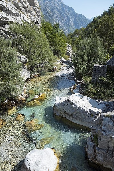 Fluss Valbona  Valbona-Tal  Albanische Alpen  Albanien  Europa