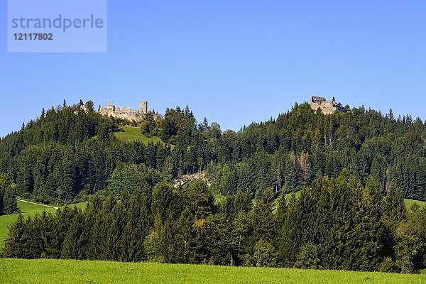 Schloss Hohenfreyberg und Schloss Eisenberg  bei Eisenberg  Ostallgäu  Allgäu  Schwaben  Bayern  Deutschland  Europa