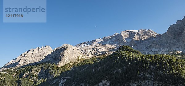 Blick auf Wald und Berge  Marmolada und Gran Vernel  Marmoladapass  Südtirol  Trentino-Südtirol  Südtirol  Italien  Europa