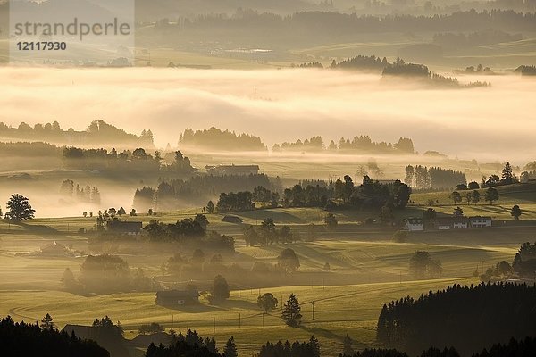 Morgennebel über dem Lechtal  Blick vom Auerberg bei Bernbeuren  Allgäu  Oberbayern  Bayern  Deutschland  Europa