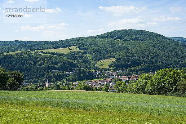 Blick auf Oberbach  Biosphärenreservat Rhön  Bayern  Deutschland  Europa