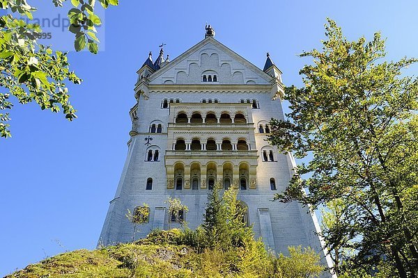 Schloss Neuschwanstein  Schwangau  Königswinkel  Ostallgäu  Allgäu  Schwaben  Bayern  Deutschland  Europa
