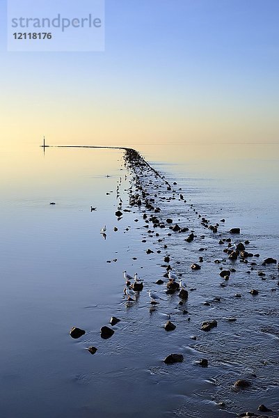 Steinplattform mit Begrenzungspfosten in der ruhigen Nordsee  Norddeich  Niedersachsen  Deutschland  Europa