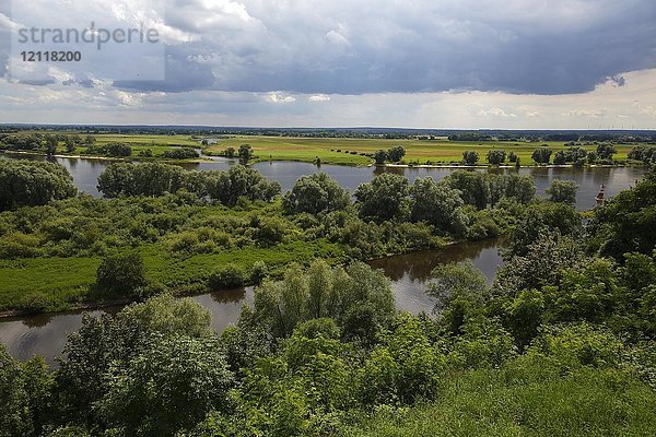 Glaziales Flusstal der Elbe im UNESCO-Biosphärenreservat Flusslandschaft Elbe  im VordergrundEingang des Südens  Boizenburg  Mecklenburg-Vorpommern  Deutschland  Europa