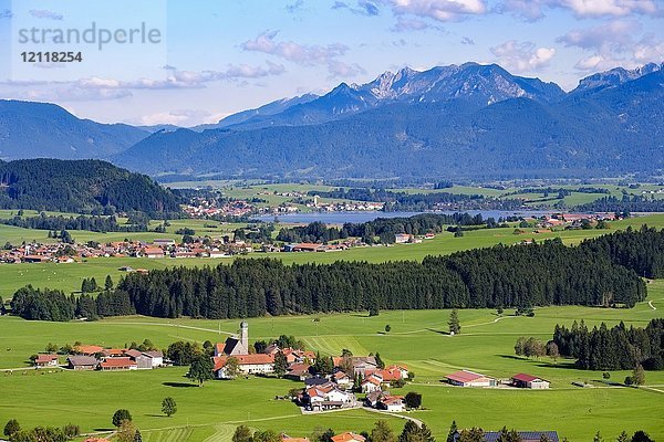 Blick vom Schlossberg bei Eisenberg  vor Dorf Speiden  Hopfensee und Ammergauer Alpen  Ostallgäu  Allgäu  Schwaben  Bayern  Deutschland  Europa