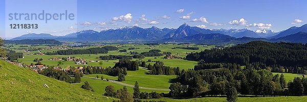 Panoramablick vom Schlossberg bei Eisenberg  Hopfensee und Ammergauer Alpen mit Säuling  Ostallgäu  Allgäu  Schwaben  Bayern  Deutschland  Europa