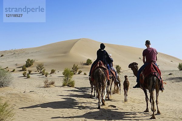 Touristen reiten auf Kamelen  Kameltour  Wadi Rum Wüste  nahe Matinabad  Iran  Asien