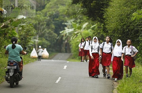 Schulmädchen  Mädchen in Schuluniform auf der Straße  Dorf Losari  Magelang  Java  Indonesien  Asien