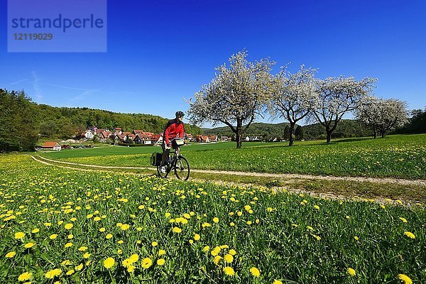 Radfahrer auf Feldweg  bei Burggaillenreuth  Fränkische Schweiz  Oberfranken  Bayern  Deutschland  Europa