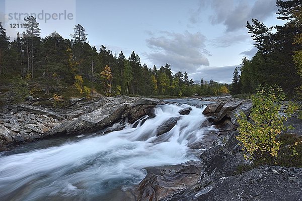 Wasserfall im Fluss Saltelva  Saltdal  Norwegen  Europa