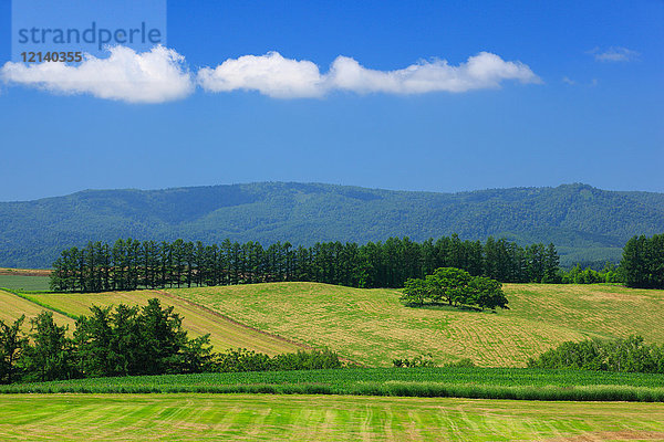 Landfeld  Hokkaido  Japan