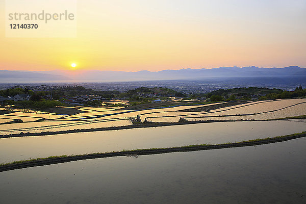 Reisfelder  Präfektur Yamanashi  Japan