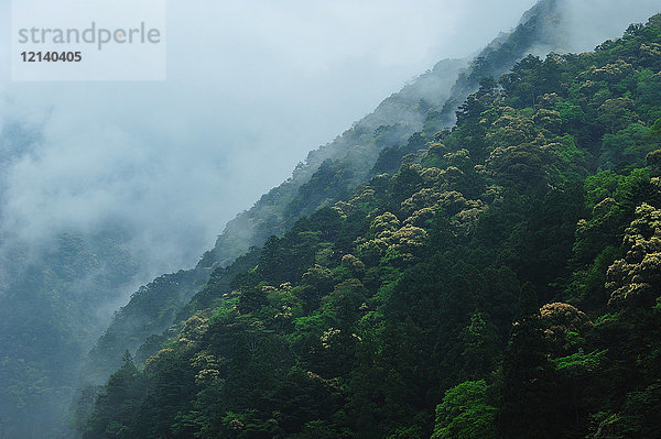 Toro-Schlucht  Japan