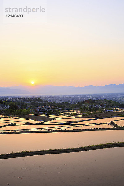 Reisfelder  Präfektur Yamanashi  Japan