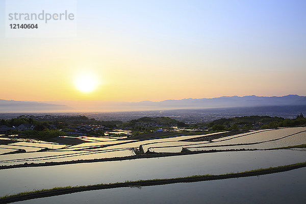 Reisfelder  Präfektur Yamanashi  Japan