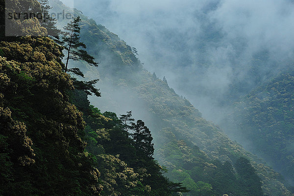 Toro-Schlucht  Japan