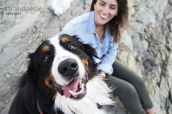 Glücklicher Berner Sennenhund mit Blick auf die Kamera  sein Besitzer lächelt neben ihm.