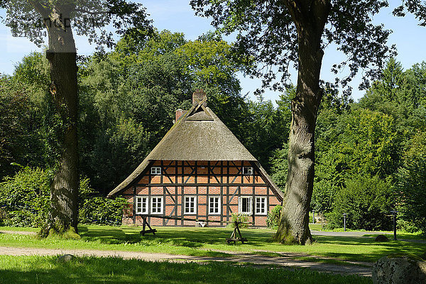 Deutschland  Niedersachsen  Undeloh  Lüneburger Heide  Försterei Heimbuch