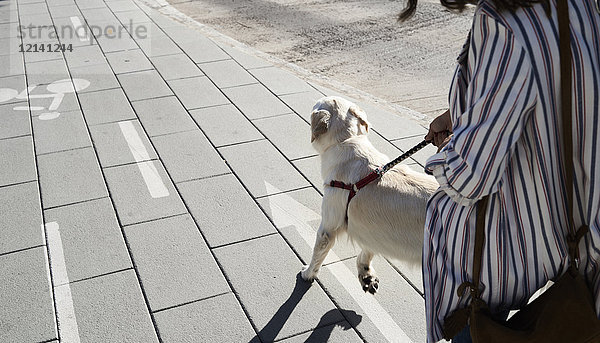 Junge Frau  die mit ihrem Hund auf dem Bürgersteig spazieren geht.