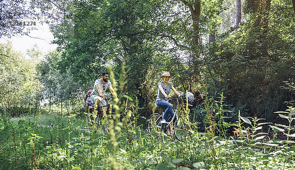 Familienradfahren im Wald