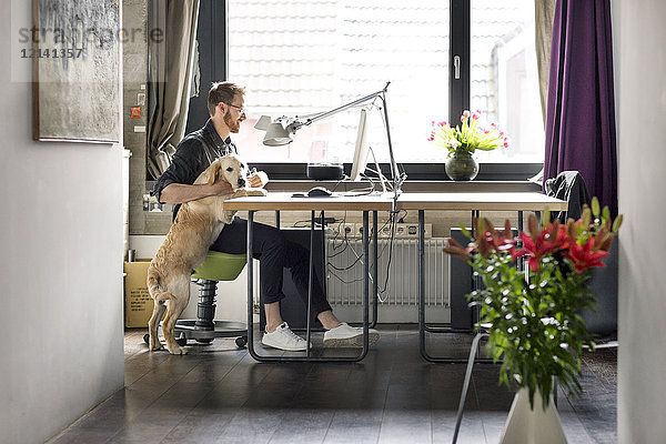 Mann mit Hund arbeitet zu Hause am Schreibtisch