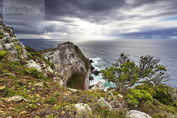 Afrika  Südafrika  Westkap  Kapstadt  Kap der guten Hoffnung Nationalpark  Cape Point