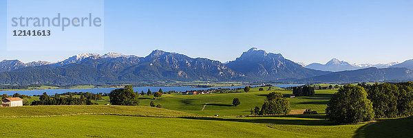 Deutschland  Bayern  Schwaben  Allgäu  Ostallgäu  Blick von Ussenburg bei Rosshaupten  Forggensee und Ammergauer Alpen