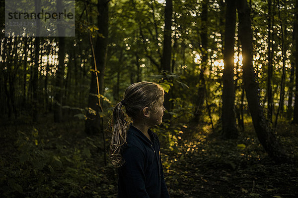 Mädchen im Wald bei Sonnenuntergang