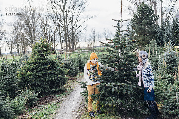 Geschwister wählen Weihnachtsbaum auf dem Bauernhof