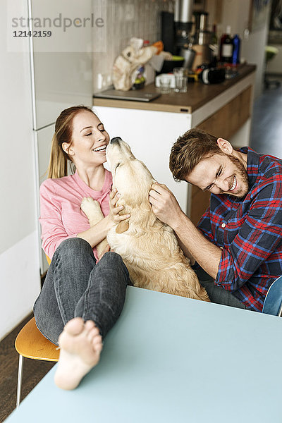 Glückliches junges Paar spielt mit Hund zu Hause