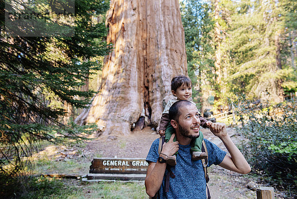 USA  Kalifornien  Vater und Baby zu Besuch im Sequoia Nationalpark