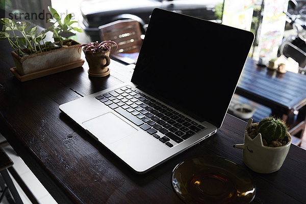 Laptop auf Holztisch mit Pflanzen
