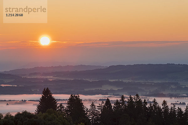 Deutschland  Bayern  Oberbayern  Allgäu  Pfaffenwinkel  Blick vom Auerberg bei Bernbeuren  Morgennebel über das Lechtal bei Sonnenaufgang