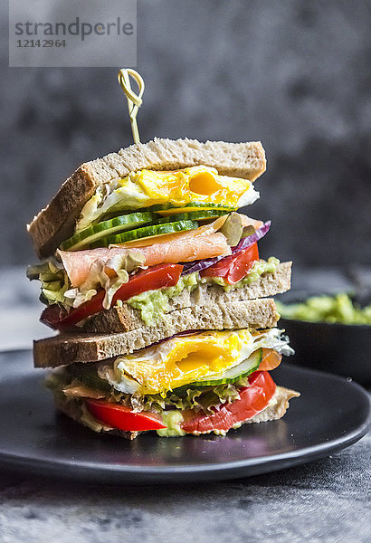 Sandwich mit Ei  Salat  Gurke  Tomate  Lachs  Avocado und Zwiebel