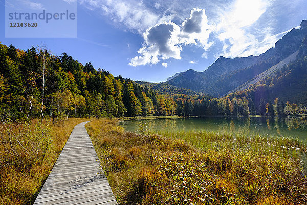 Deutschland  Bayern  Oberbayern  Chiemgau  Inzell  Frillensee im Herbst